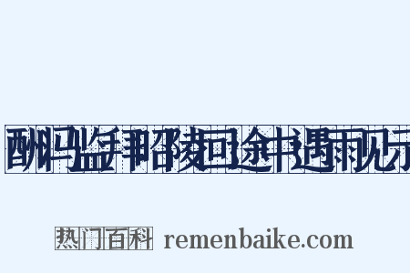酬冯监拜昭陵回途中遇雨见示是什么意思的图片